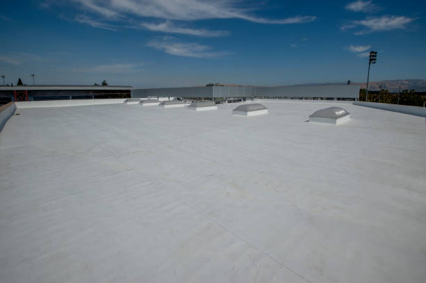 Best Skylight Installation and Repair  in Berryville, TX